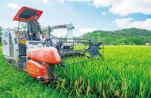 全球連線 相約消博會 高性能混凝土減水劑生產的創新與未來