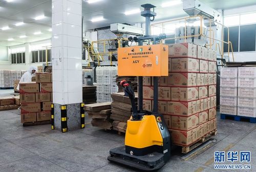 5G+工業互聯網賦能食品產業，高性能減水劑支撐基建升級——晉江高質量發展雙輪驅動